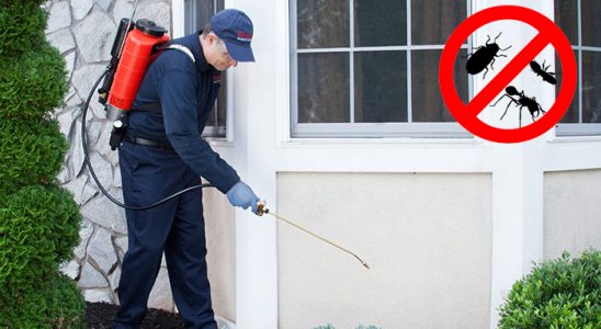 Ünye Hamam Böceği İlaçlama böcek ilaçlama ve haşere kontrolü — ilaclama-tr.com